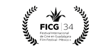Logo FICG