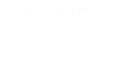 Logo Biggest Party